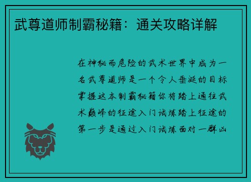 武尊道师制霸秘籍：通关攻略详解